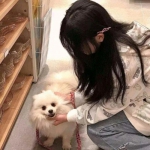 超级投蓝接力赛